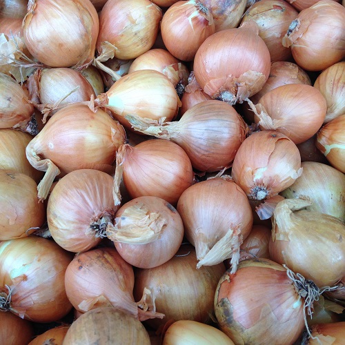 Shallot Sets Golden Gourmet